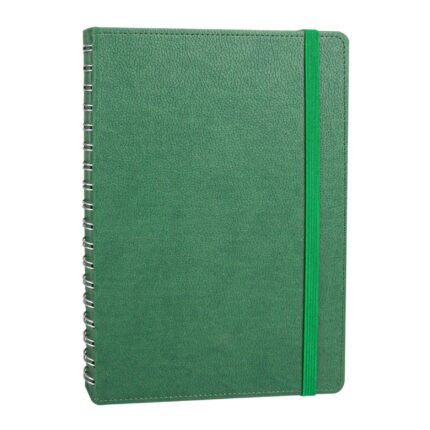 ANITTEPE YEŞİL TARİHLİ GİZLİ SPİRALLİ AJANDA (17X24 CM) - media-libraryfmj55pj82fp36eDst2W