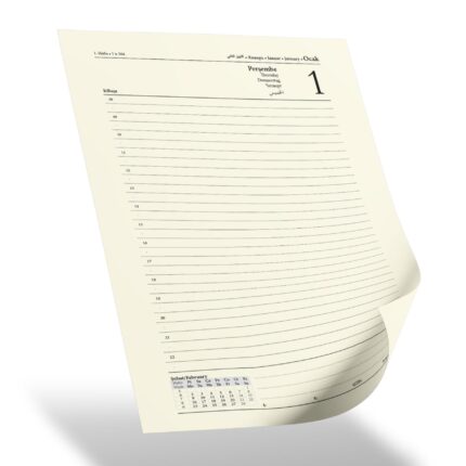 BALGAT SARI TARİHLİ AJANDA (17X24 CM) - media-librarysffghnnfj7p5e4VX2bT