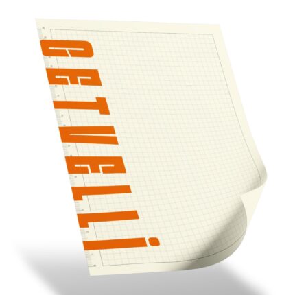 SEĞMENLER SİYAH KARELİ SPİRALLİ TARİHSİZ DEFTER (19X25 CM) - media-librarykbsvqvganv0ofoQxUQi