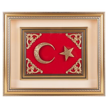 GÖKTÜRK AYYILDIZ KABARTMALI TABLO - media-librarybgd9fmt9031a2RWcL8C